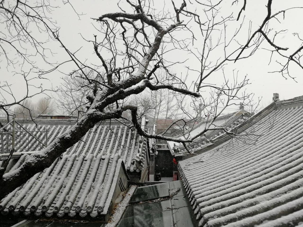 Hotel Beijing Fly By Knight Courtyard Zewnętrze zdjęcie